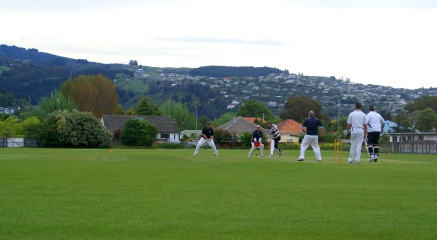 Players on repaired cricket pitches Players on repaired cricket pitches